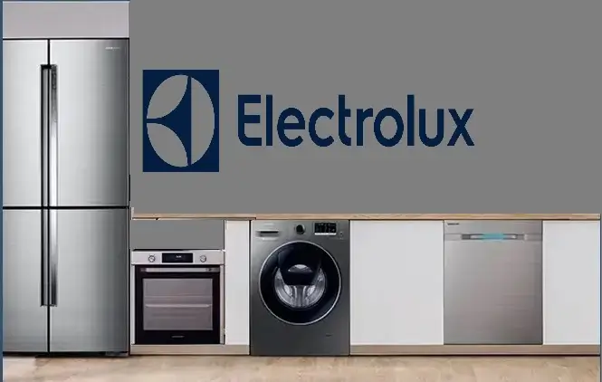 Eyüpsultan Electrolux servisi